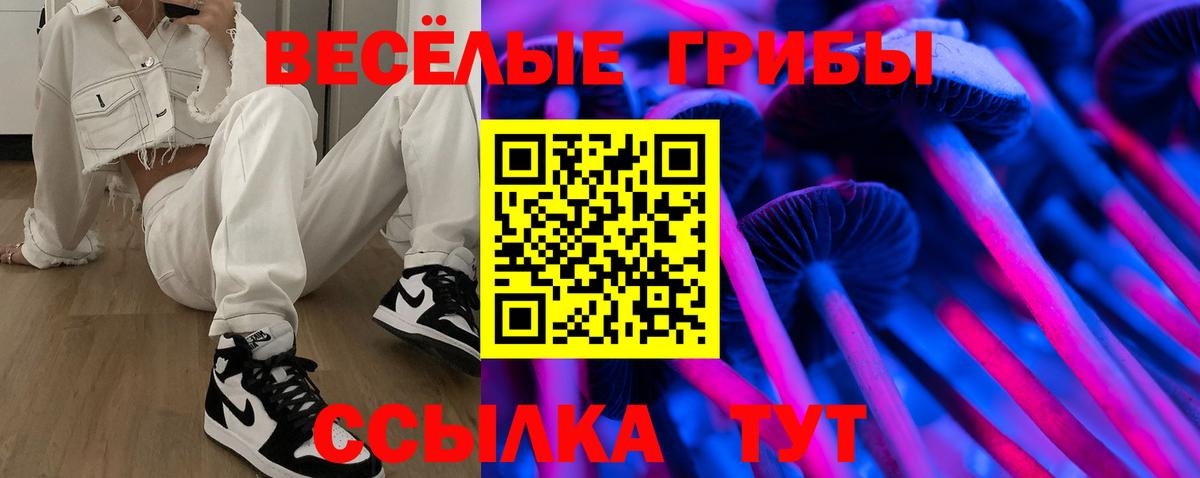 Беслан  Псилоцибиновые грибы Psilocybine cubensis  Вход с VPN 